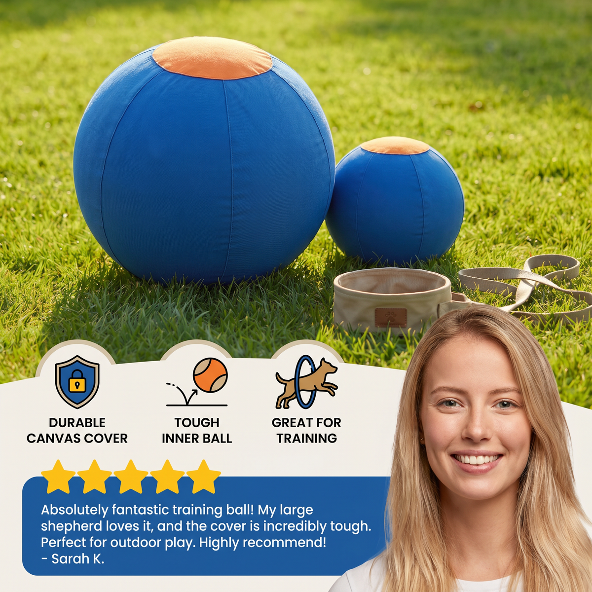 Covered Dog Training & Play Ball