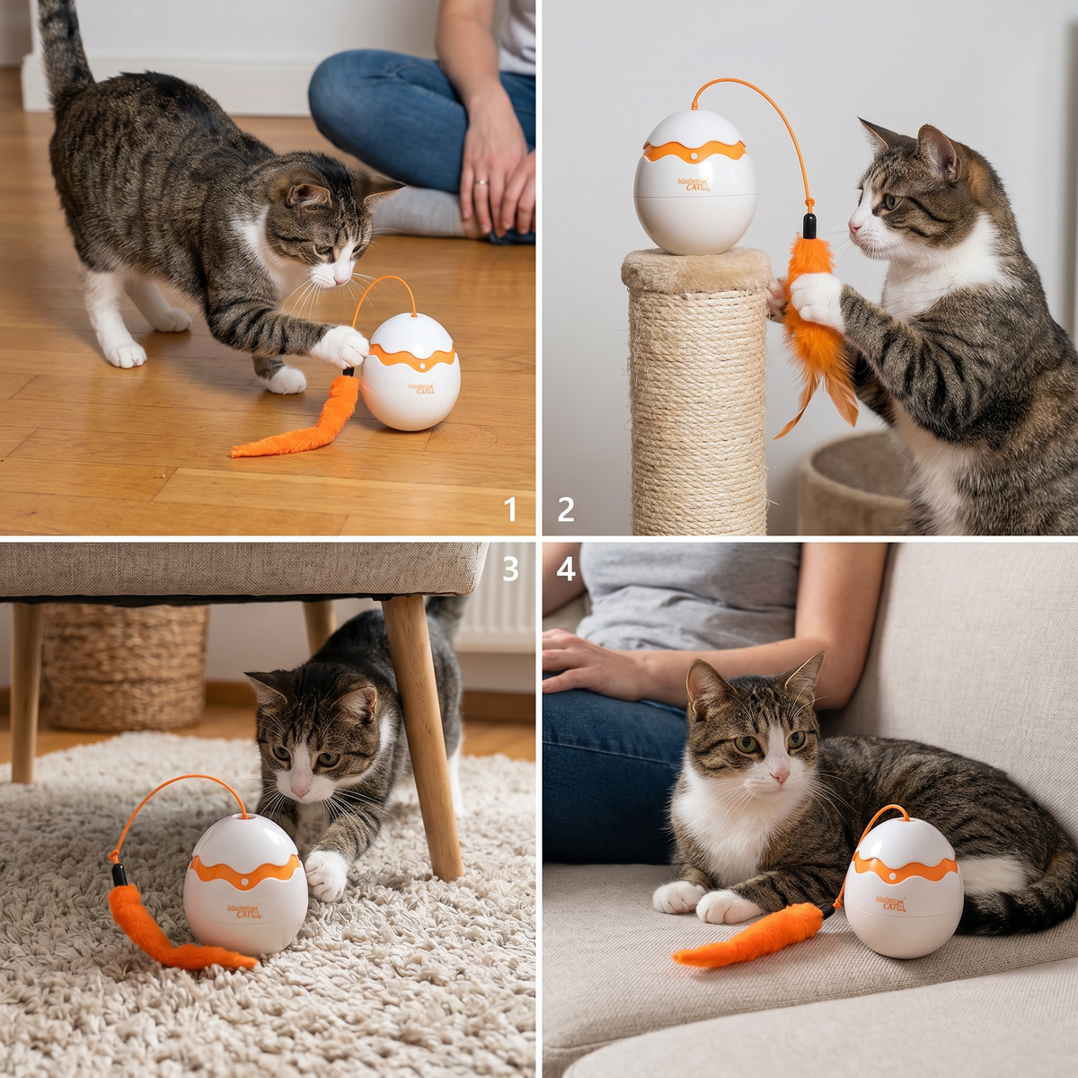 Automatic Wobble-Egg Cat Feather Teaser