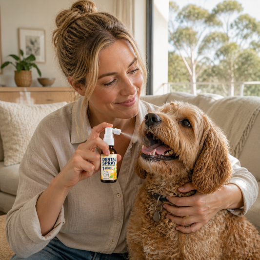 Dog Dental Care & Breath Spray
