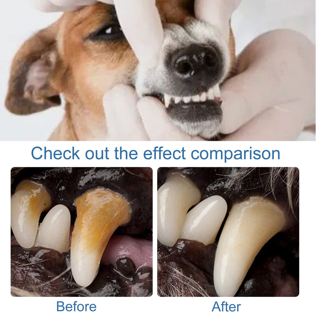 Dog Oral Care Foam