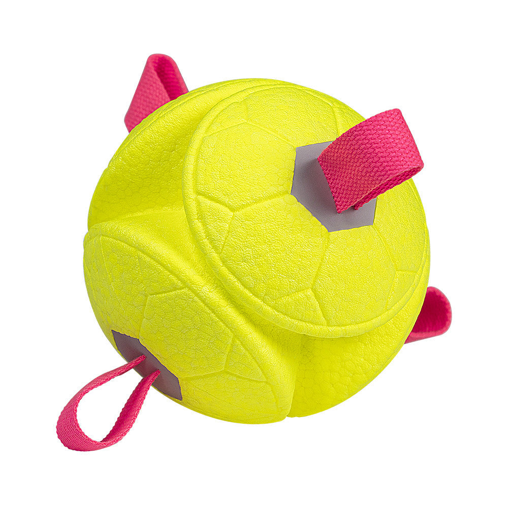 Dog Tug & Fetch Play Ball