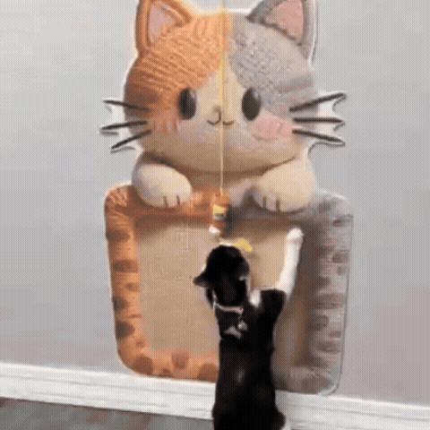 Woven Cat Scratch Mat with Adhesive Back & Play Toy