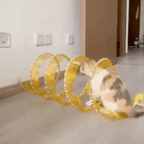 Collapsible Spiral Cat Tunnel with Feather & Bells