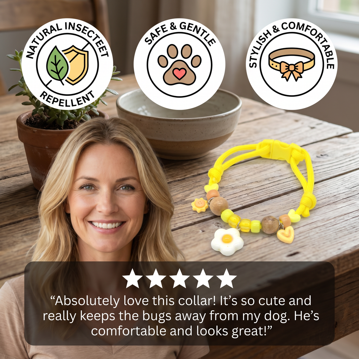 Decorative Insect-Repellent Dog Collar