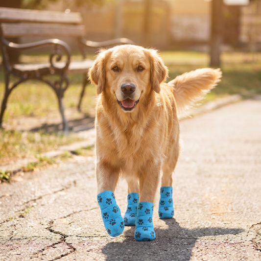 Self-Adhering Pet Paw Wrap