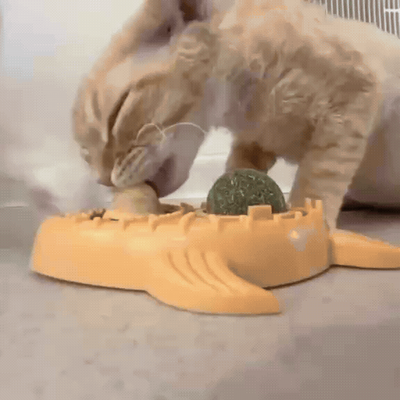Catnip Ball Chew & Play Toy