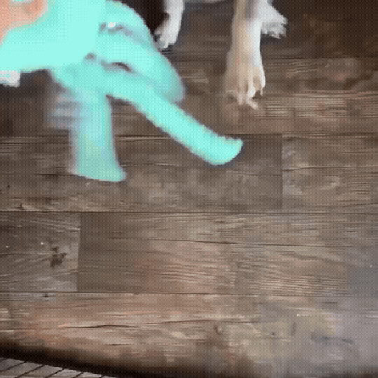 Large Plush Octopus Dog Toy with Squeaker