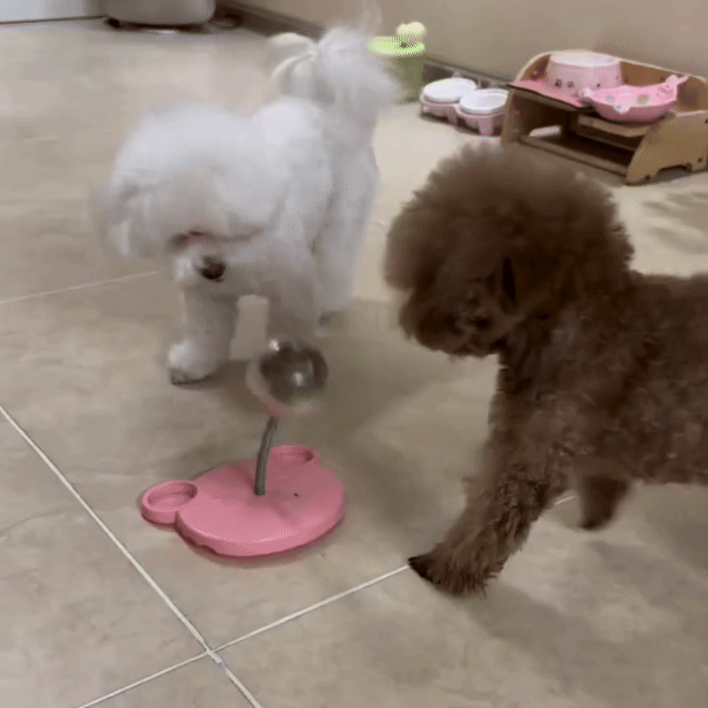Wobbling Dog Treat Activity Toy