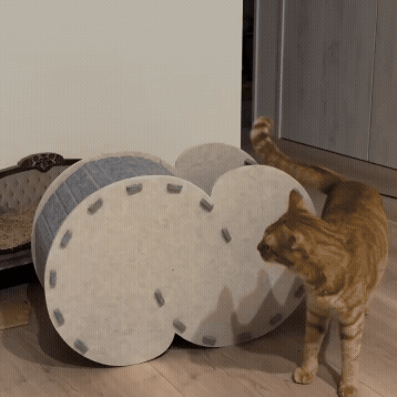 Cat Hideaway Bed with Built-In Scratching Area