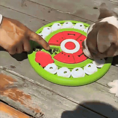 Dog Treat Search & Food Puzzle