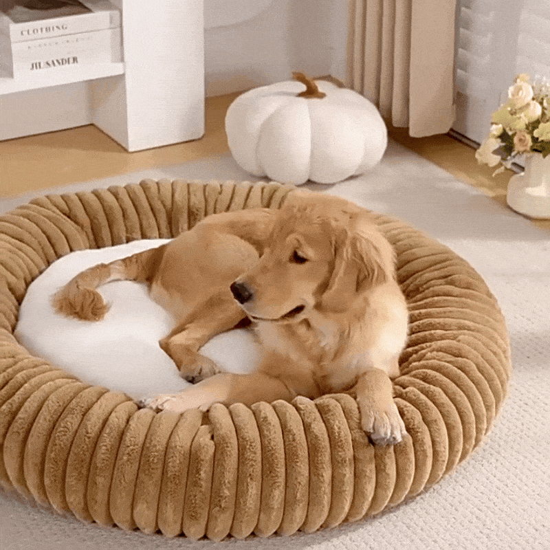 Personalised Round Plush Dog Bed