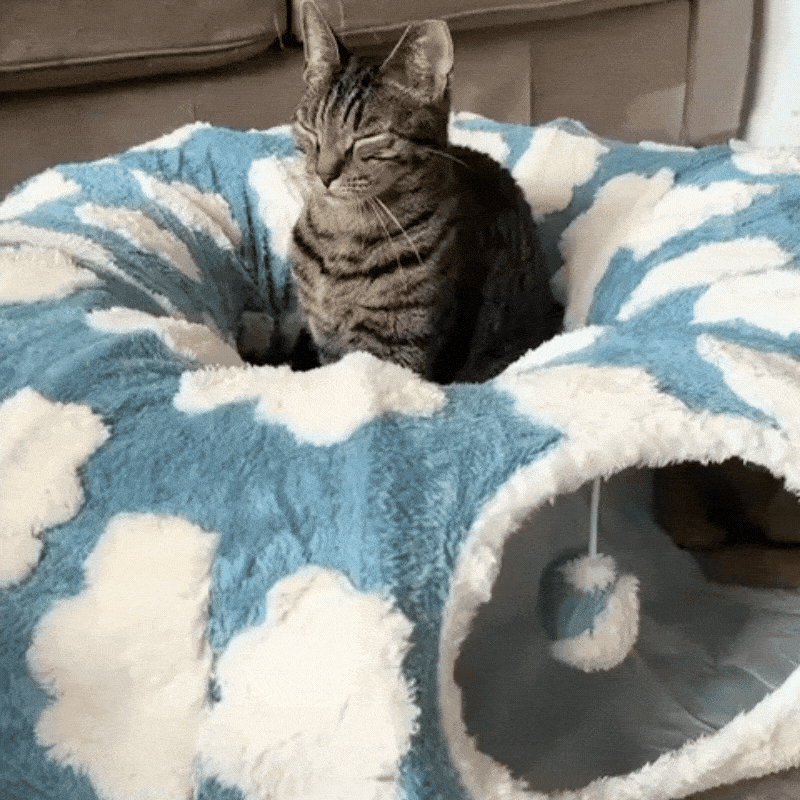 Fluffy Cat Play Tunnel & Bed with Blanket