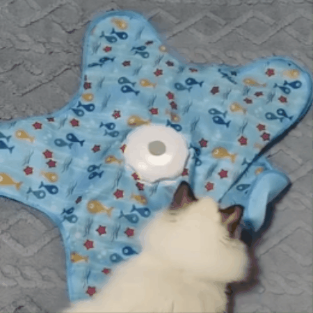 Automatic Dog Chase Activity Toy