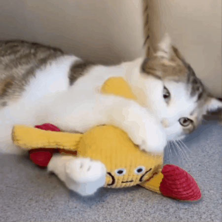 Crinkly Waffle Cat Toy with Catnip Pocket