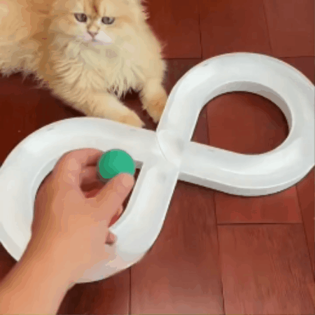 Cat Track & Rolling Ball Toy