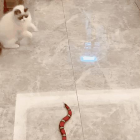 Interactive Snake-Shaped Cat Toy