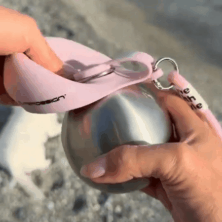 Stainless Steel Dog Travel Bottle with Fold-Out Bowl