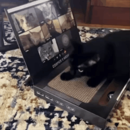 Laptop-Shaped Cardboard Cat Scratcher