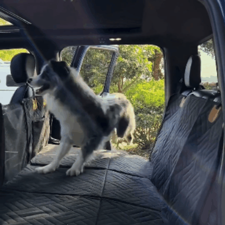 Hard-Base Dog Car Seat Extension