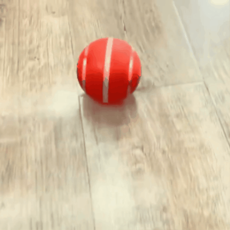 Self-Rolling Dog Activity Ball