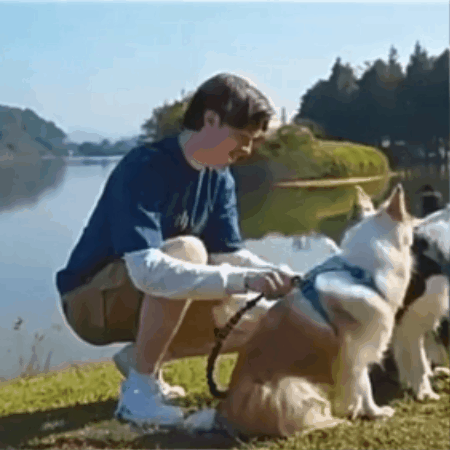 Dual Dog Lead with Bungee Sections & 360° Swivel