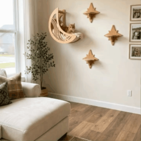 Moon & Star Wooden Cat Wall Shelf Set