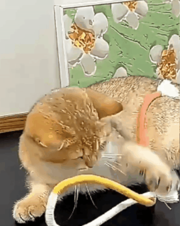Natural Rope Cat Chew Toy
