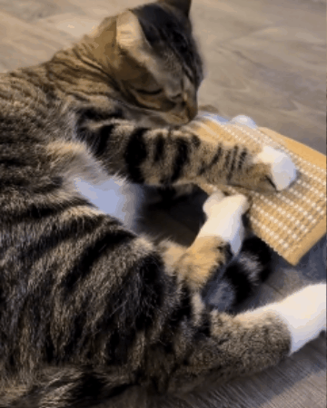 Hemp Rope Catnip Scratch & Play Pad