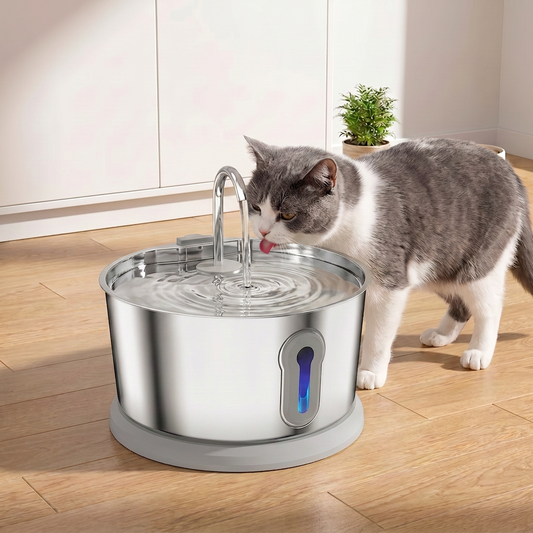 4L Stainless Steel Pet Drinking Fountain