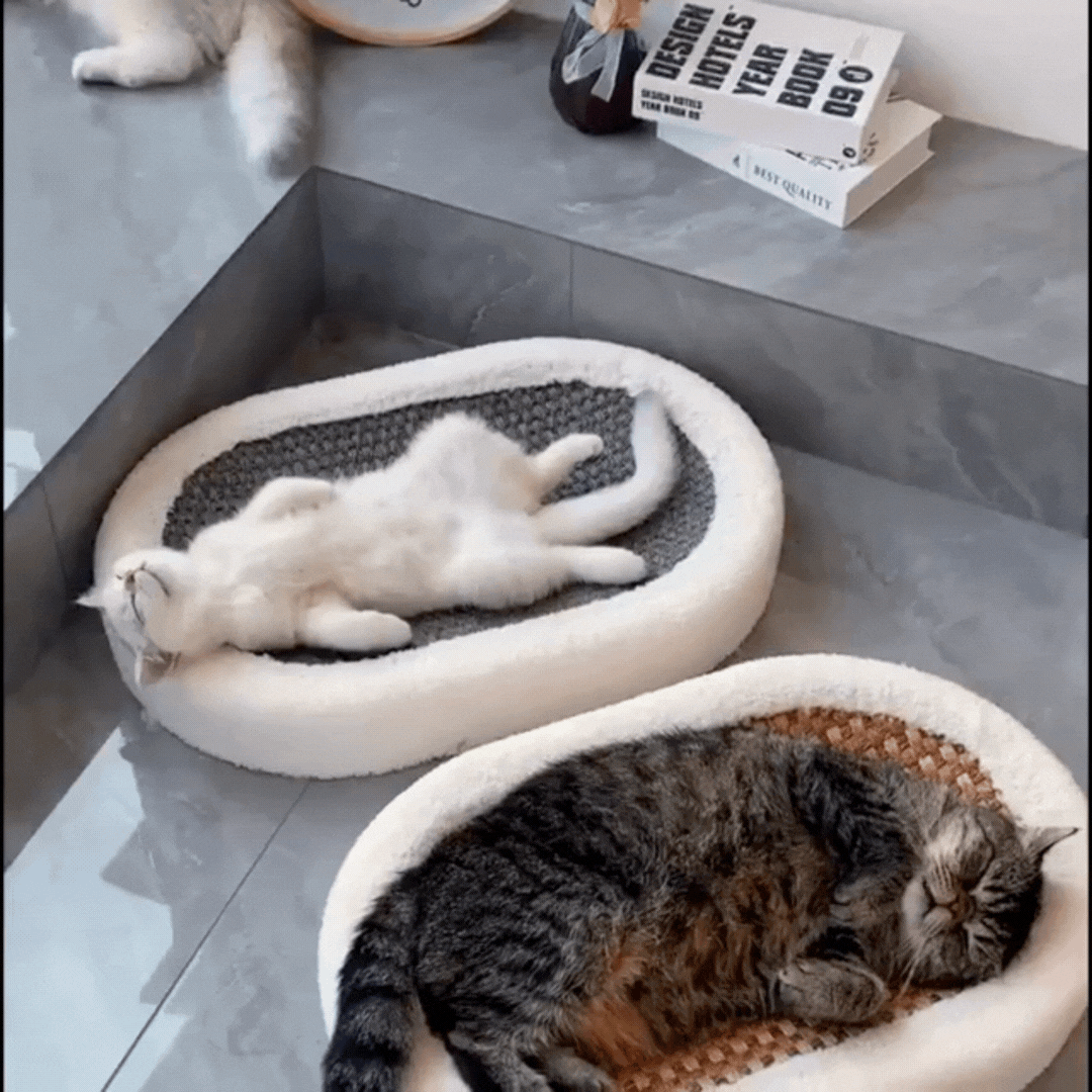 Cat Scratch & Rest Lounge Bed