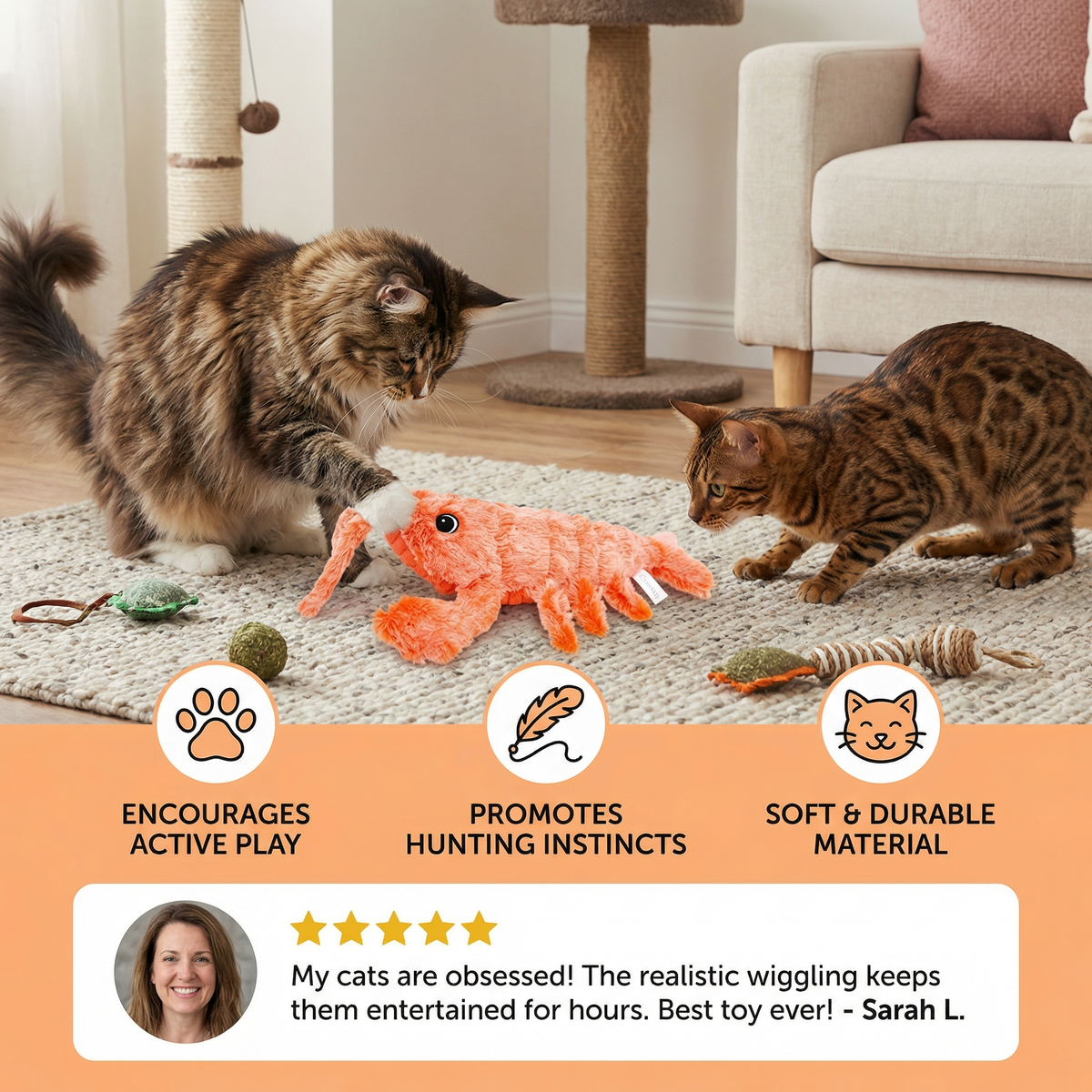 Moving Lobster Cat Activity Toy
