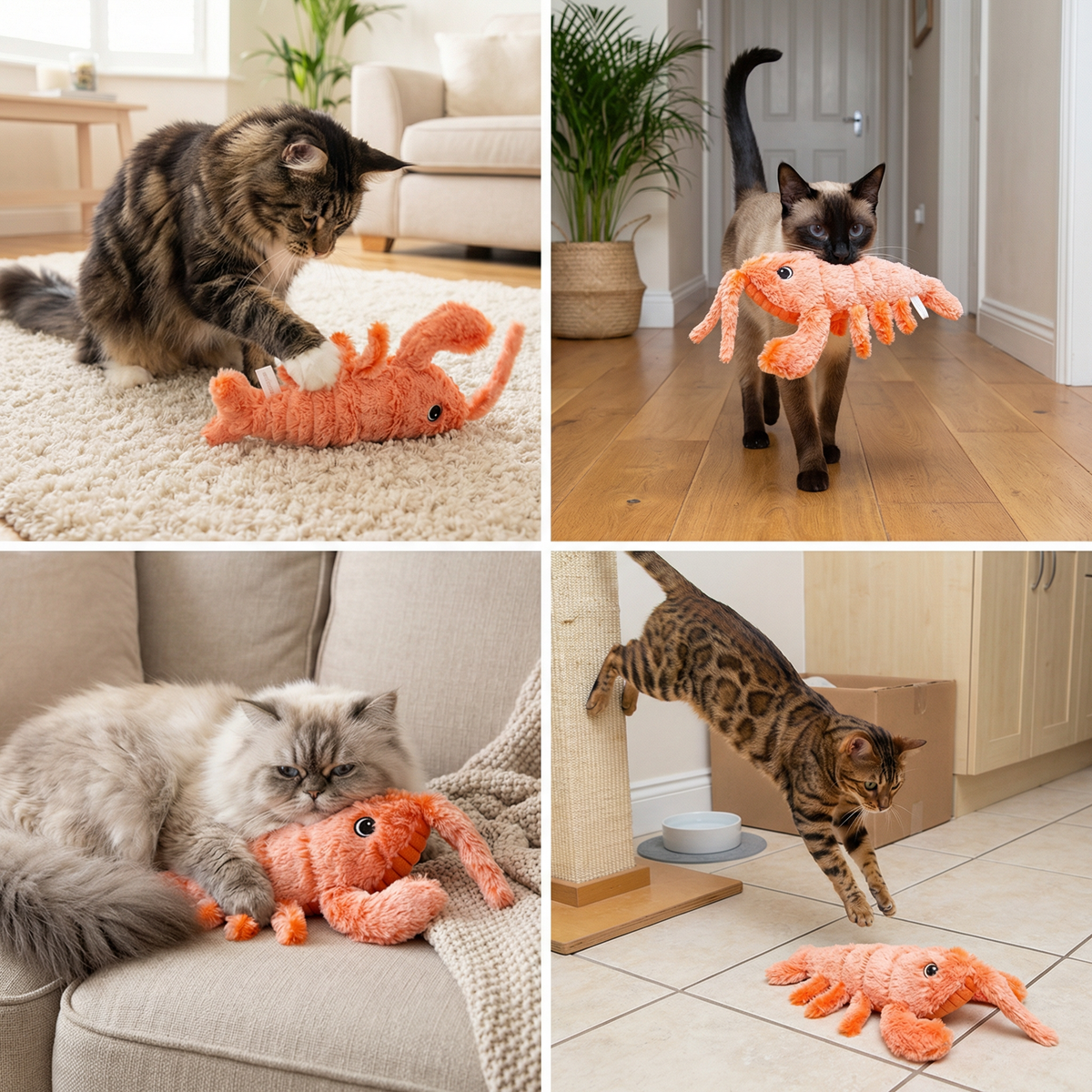 Moving Lobster Cat Activity Toy