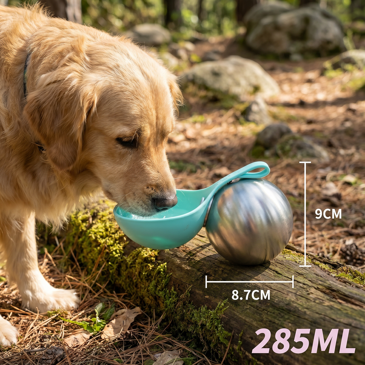 Stainless Steel Dog Travel Bottle with Fold-Out Bowl